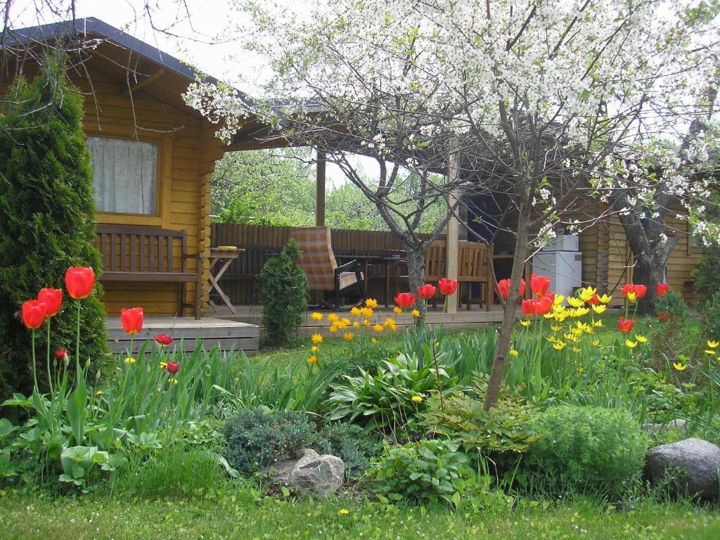 Kaare Guesthouse Вильянди Номер фото